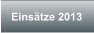 Einstze 2013